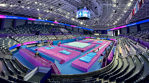 华体会hth公司：室内健身拔杆